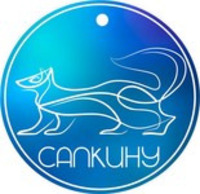 Продвижение культурно-исторического наследия Урала “САПКИНУ”